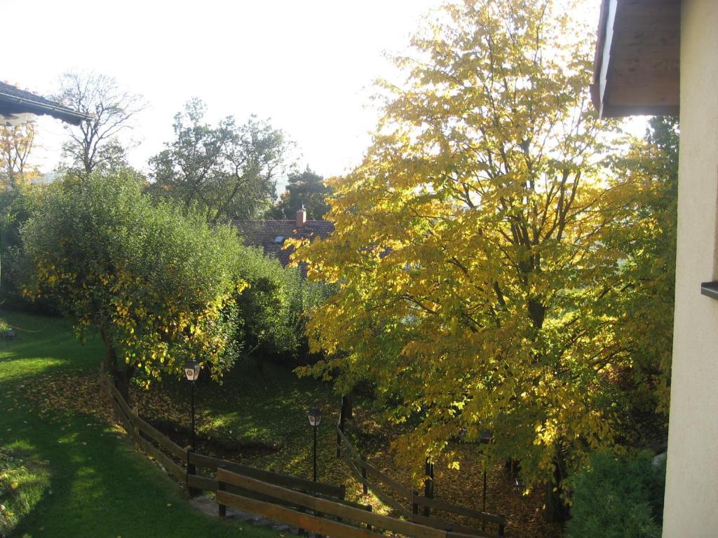 Hotel Landhaus Silbertanne Rotenburg an der Fulda Luaran gambar